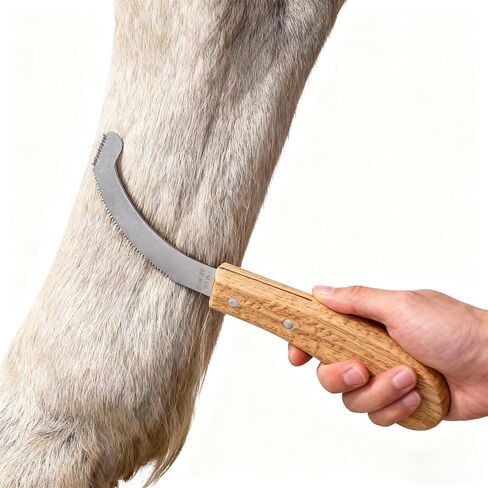 سكين بيض البوت للخيول، شفرة من الفولاذ المقاوم للصدأ مع مقبض خشبي، أداة العناية بخيوط الخيول، تهذيب دقيق لإزالة بيض البوت in Kuwait