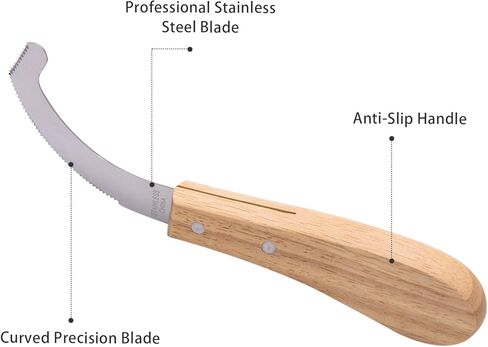سكين بيض البوت للخيول، شفرة من الفولاذ المقاوم للصدأ مع مقبض خشبي، أداة العناية بخيوط الخيول، تهذيب دقيق لإزالة بيض البوت in Kuwait