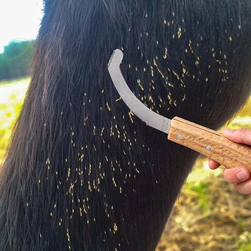 سكين بيض البوت للخيول، شفرة من الفولاذ المقاوم للصدأ مع مقبض خشبي، أداة العناية بخيوط الخيول، تهذيب دقيق لإزالة بيض البوت in Kuwait