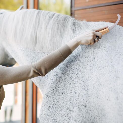 سكين بيض البوت للخيول، شفرة من الفولاذ المقاوم للصدأ مع مقبض خشبي، أداة العناية بخيوط الخيول، تهذيب دقيق لإزالة بيض البوت in Kuwait