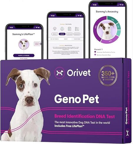طقم اختبار الحمض النووي للكلاب من ORIVET GenoPet Plus - معرف السلالة والصحة الوراثية + فحص السمات | 280+ سمات | أصل الكلاب | جينوبت + خطة الحياة | مسحة في المنزل | تظهر النتائج خلال 21-25 يومًا بعد التنشيط in Kuwait