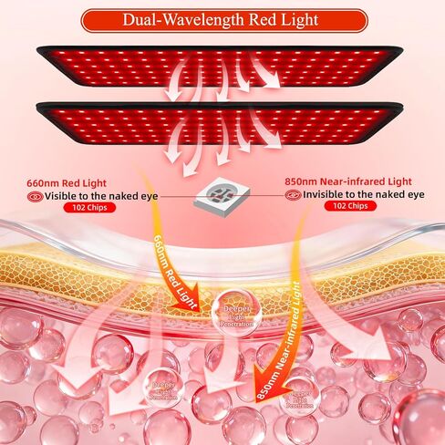العلاج بالضوء الأحمر للجسم، 660 نانومتر 850 نانومتر 12.6 بوصة LED يمكن ارتداؤه بالأشعة تحت الحمراء حزام العلاج بالضوء الأحمر للظهر والكتف والخصر وعضلات الركبة والبطن in Saudi Arabia