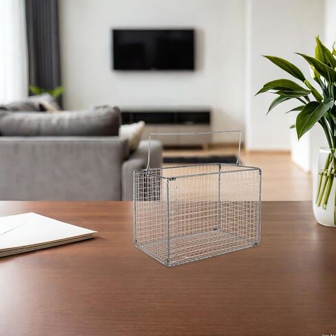 Dip and Drain Basket, Stainless Steel Ultrasonic Washing Basket, Mesh Cleaner Accessory for Laboratory Industrial Parts Eyeglass and Cosmetic Cleaning in Kuwait