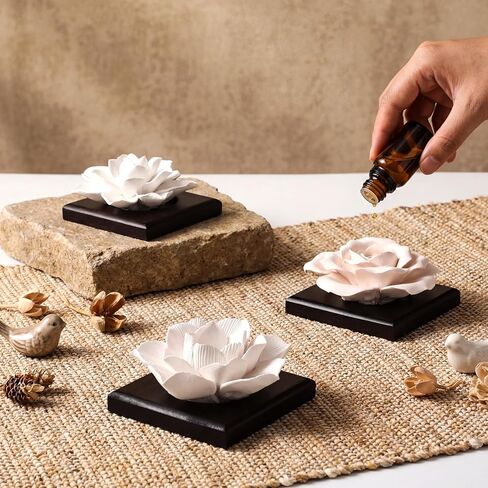 3 Pcs Passive Essential Oil Diffuser Stone Set, Magnolia Lotus Rose Flower Passive Diffusers with Wood Base for Car, Desk, Bedroom, Home Decor Gift, No Essential Oil in Kuwait