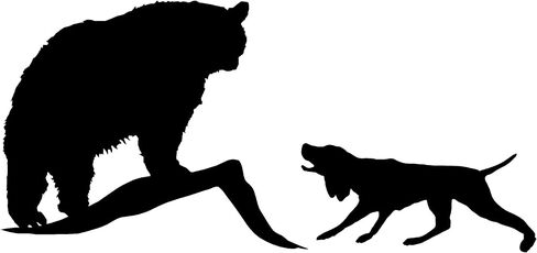 Bear Hound Decal – Bear Dog Hunting Decal – 1406 (Medium, White) in Kuwait