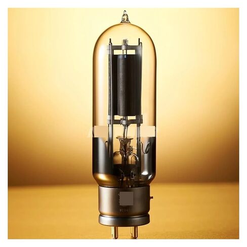 WE845 845 Vacuum Tube Replacement Upgraded Version 845 Electron Tube(1 PCS) in Saudi Arabia