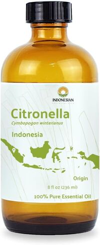 Citronella Essential Oil - Direct from Central Java, Indonesia - Pure Essential Oil for Diffusers and Aromatherapy | 100% Pure Therapeutic Grade (8oz) in Kuwait