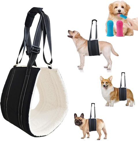 كلب كبير قابل للتعديل رفع تسخير حبال رفع الدعم للأرجل الخلفية الضعيفة دعم الساق الخلفية الناعمة للكلاب المصابة الكبيرة Sling-L + فرشاة أسنان الحيوانات الأليفة in Kuwait