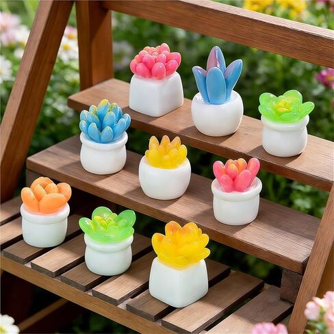 لطيف صغير الإبداعية الصبار، بوعاء البستنة عصاري المفصلي رؤساء الزخرفية توبر مجموعة 5PCS، ديكور المنزل، رئيس المفصلي المغناطيسي القبعات العالية الباب المفصلي in Saudi Arabia