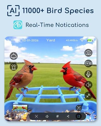 وحدة تغذية الطيور الذكية ثلاثية الطاقة الشمسية مع الكاميرا - كاميرا مراقبة الطيور اللاسلكية بدقة 3 ميجابكسل UHD للأماكن الخارجية مع تحديد أنواع الطيور بالذكاء الاصطناعي وسعة البذور 2 لتر، هدية مثالية لمحبي الطيور والأمهات والآباء in Kuwait