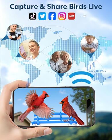 وحدة تغذية الطيور الذكية ثلاثية الطاقة الشمسية مع الكاميرا - كاميرا مراقبة الطيور اللاسلكية بدقة 3 ميجابكسل UHD للأماكن الخارجية مع تحديد أنواع الطيور بالذكاء الاصطناعي وسعة البذور 2 لتر، هدية مثالية لمحبي الطيور والأمهات والآباء in Kuwait