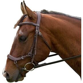 هنري دي ريفيل برو لجام تشريحي in Kuwait