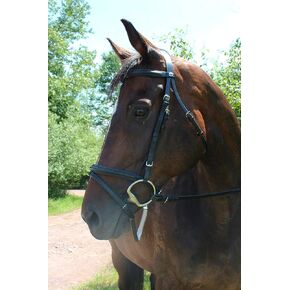 لجام ترويض مبطن من هنري دي ريفيل مزود بفلاش وزمام ويب in Kuwait