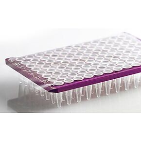 PCR Seal; Clear Adhesive Film, Strong Adhesive, 100 Sheets (135 x 80 mm) in Saudi Arabia