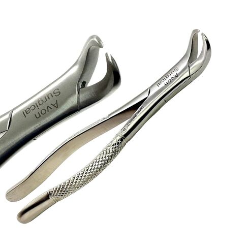 ملقط قلع أسنان جديد عالي الجودة رقم 23 بقرة قرن سفلي من الفولاذ المقاوم للصدأ الألماني in Kuwait