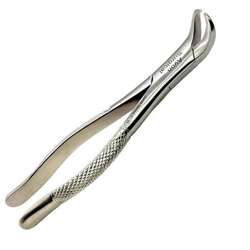 ملقط قلع أسنان جديد عالي الجودة رقم 23 بقرة قرن سفلي من الفولاذ المقاوم للصدأ الألماني in Kuwait