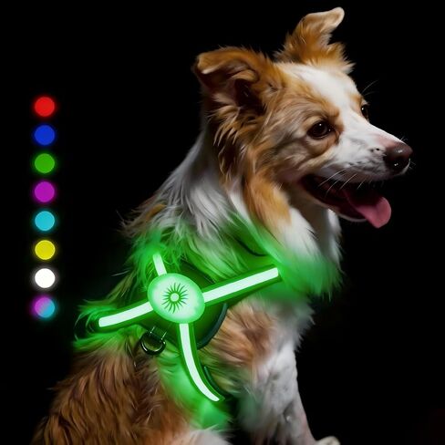 Light Up Dog Harness 2025 LED Dog Harness with RGB Multi-Color Mode & Super Bright TPU Strip, USB Rechargeable, Waterproof, Adjustable Glow in The Dark Harness for Night Walking Safety, Avoid Accident in Saudi Arabia