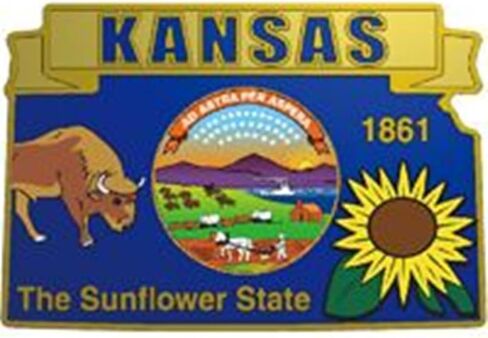 Artisan Owl Kansas State Shaped Decorative Map 3.25" Embroidered Patch, with Iron-On Adhesive in Saudi Arabia