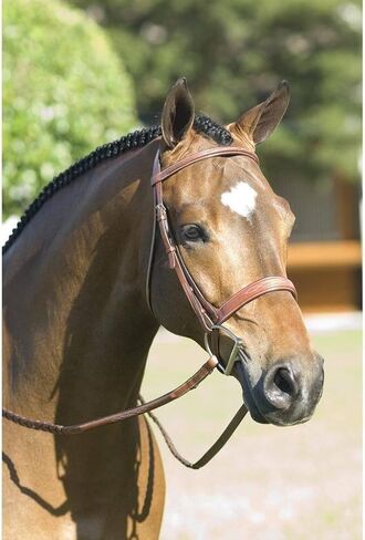 Pessoa Rodrigo Fancy Stitched Wide Noseband Bridle in Saudi Arabia