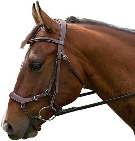 هنري دي ريفيل برو لجام تشريحي in Kuwait