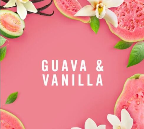 6 Pack - Febreeze Wax Melts Guava and Vanilla Scent in Saudi Arabia