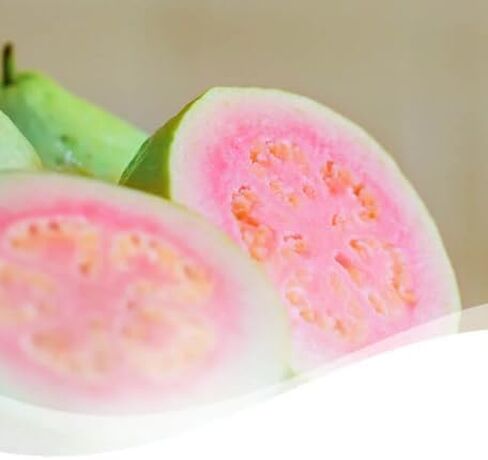 6 Pack - Febreeze Wax Melts Guava and Vanilla Scent in Saudi Arabia