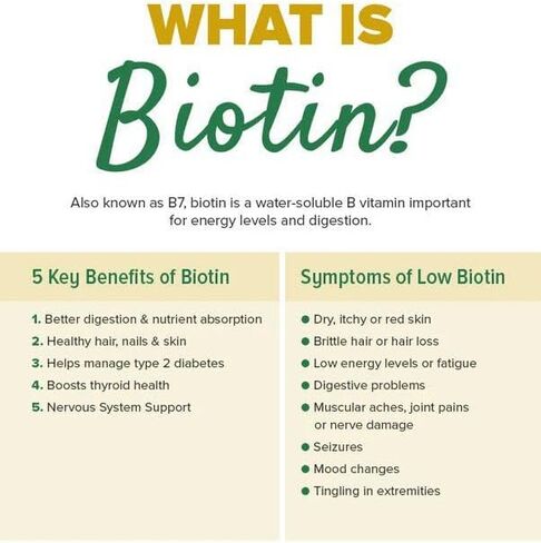 Biotin (Vitamin B7) Powder Vitamin B7 Powder for Hair, Skin, and Nail Health, Biotin Vitamin Non-GMO, Gluten-Free (8 Ounce / 226 Grams) in Kuwait