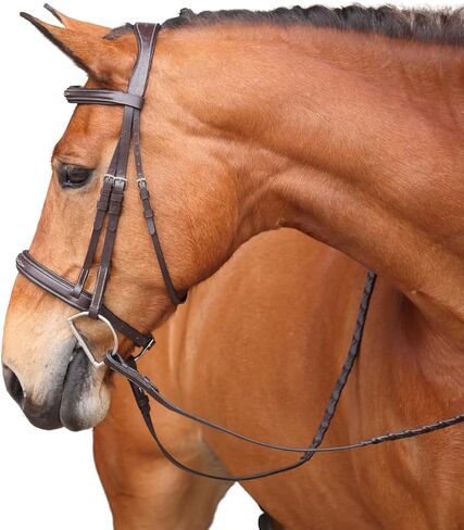 Shires Avignon Wellington Bridle in Saudi Arabia