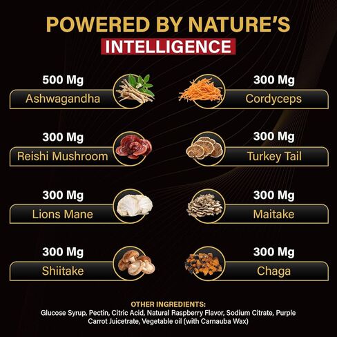 Brain Boost Energy and Focus Gummies - 60Pck Gluten-Free, Non GMO and Vegan Brain Health Supplements for Adults Supports Mental Clarity, Maintain Focus and Overall Brain Wellness in Saudi Arabia