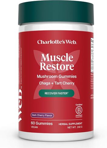 علكة الفطر لاستعادة العضلات من شارلوت للبالغين - مكمل تشاجا وتارت الكرز لاستعادة العضلات والتعب - نباتي، كوشير، غير معدّل وراثيًا (نكهة الكرز الداكن، 30 حصة) in Kuwait