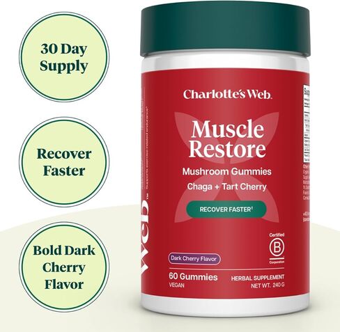 علكة الفطر لاستعادة العضلات من شارلوت للبالغين - مكمل تشاجا وتارت الكرز لاستعادة العضلات والتعب - نباتي، كوشير، غير معدّل وراثيًا (نكهة الكرز الداكن، 30 حصة) in Kuwait