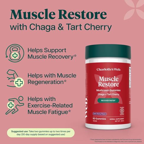 علكة الفطر لاستعادة العضلات من شارلوت للبالغين - مكمل تشاجا وتارت الكرز لاستعادة العضلات والتعب - نباتي، كوشير، غير معدّل وراثيًا (نكهة الكرز الداكن، 30 حصة) in Kuwait