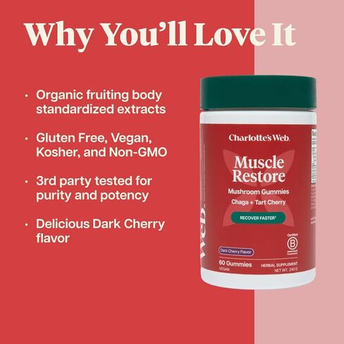 علكة الفطر لاستعادة العضلات من شارلوت للبالغين - مكمل تشاجا وتارت الكرز لاستعادة العضلات والتعب - نباتي، كوشير، غير معدّل وراثيًا (نكهة الكرز الداكن، 30 حصة) in Kuwait
