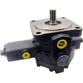 1pc Variable Vane Pump SVPF-40-20-20 SVPF-40-35-20 SVPF-40-55-20 SVPF-40-70-20 Hydraulic Vane Pump(SVPF-40-35-20) in Saudi Arabia