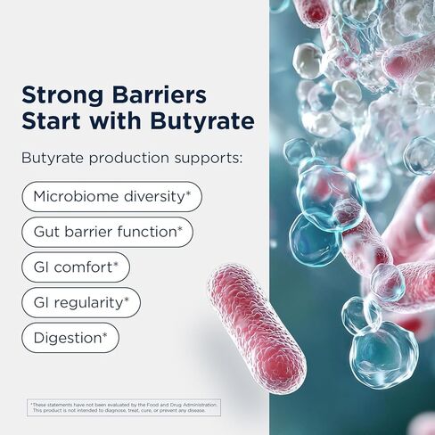 Designs for Health Anaerostipes Probiotic - 1 Billion AFU of Butyrate-Producing Probiotics for Gut Health Support, Microbiome Balance, and Immune Support - Live Probiotics, Gluten Free (30 Capsules)​ in Saudi Arabia