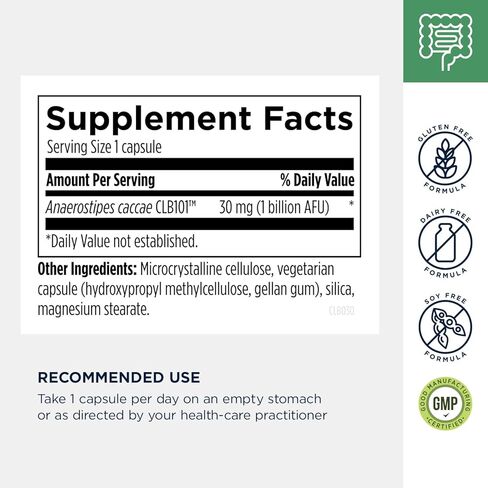Designs for Health Anaerostipes Probiotic - 1 Billion AFU of Butyrate-Producing Probiotics for Gut Health Support, Microbiome Balance, and Immune Support - Live Probiotics, Gluten Free (30 Capsules)​ in Saudi Arabia