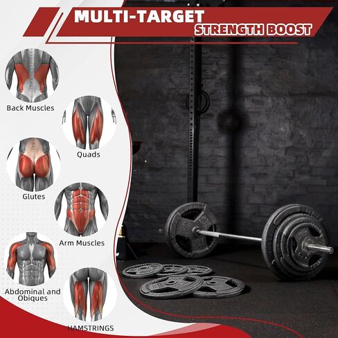 Fitvids Standard Barbell Weight Plates and Bar Set Olympic Bar for Weightlifting in Saudi Arabia