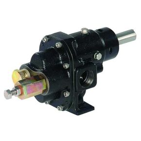Rotary Gear Pump Head, 1", 1 1/2 HP in Kuwait