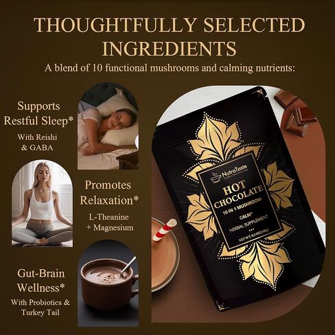 Mushroom Hot Cocoa with Magnesium Glycinate & L-Theanine, GABA | 10-Mushroom Blend with Lion’s Mane & Reishi | Supports Calm Focus & Relaxation | Cacao Powder, No Melatonin | Keto & Vegan | 8.5 OZ in Saudi Arabia