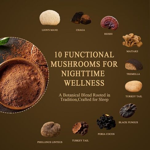 Mushroom Hot Cocoa with Magnesium Glycinate & L-Theanine, GABA | 10-Mushroom Blend with Lion’s Mane & Reishi | Supports Calm Focus & Relaxation | Cacao Powder, No Melatonin | Keto & Vegan | 8.5 OZ in Saudi Arabia