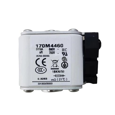170M4460 High Breaking Capacity Fast Fuse Ceramic Insulator 1Pcs in Saudi Arabia
