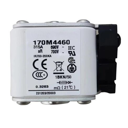 170M4460 High Breaking Capacity Fast Fuse Ceramic Insulator 1Pcs in Saudi Arabia