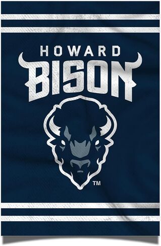 Desert Cactus Howard University Poster Bison HU 11 x 17 Inch Room Office Décor Decoration Official Fan Gear (11x17,Version 3) in Saudi Arabia