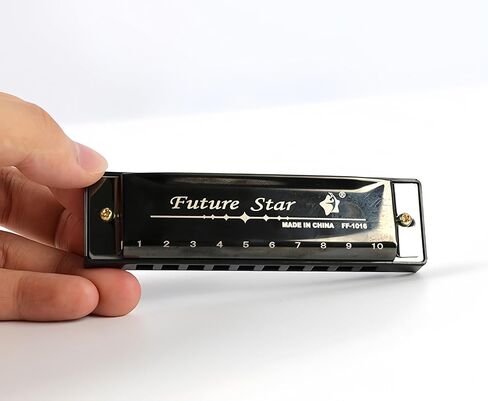 10 Hole Harmonica with gift case, C Key Blues Mouth Organ Musical Instrument for Beginners, Professional, Teenagers and Adults - Black in Saudi Arabia