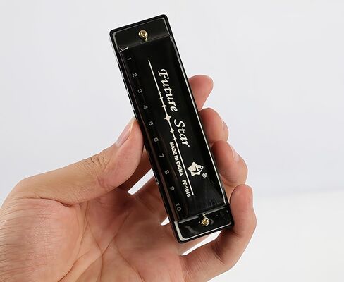 10 Hole Harmonica with gift case, C Key Blues Mouth Organ Musical Instrument for Beginners, Professional, Teenagers and Adults - Black in Saudi Arabia