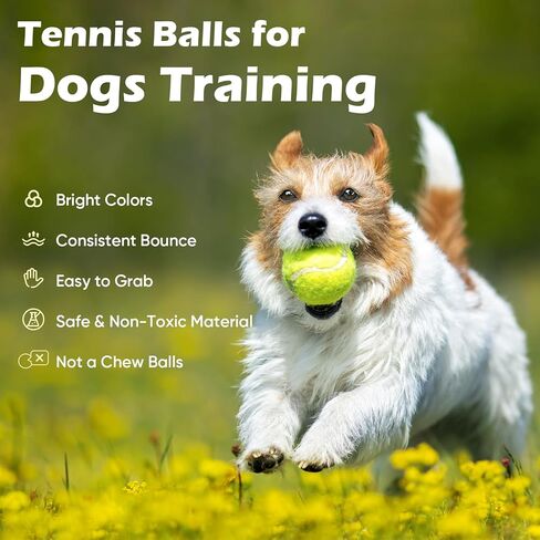 Treeroot 40 Pack Tennis Balls, High Elasticity Tennis Balls Bulk, Comes with a Portable Mesh Bag, Tennis Ball for Dogs, Suitable for Beginner Training Ball, Durable & Bounce in Kuwait