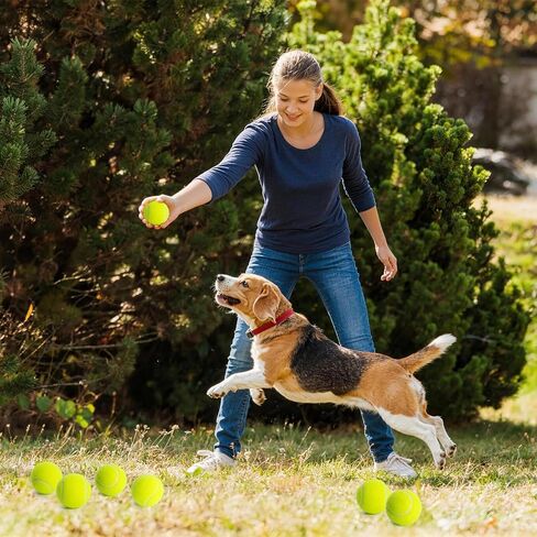 Treeroot 40 Pack Tennis Balls, High Elasticity Tennis Balls Bulk, Comes with a Portable Mesh Bag, Tennis Ball for Dogs, Suitable for Beginner Training Ball, Durable & Bounce in Kuwait