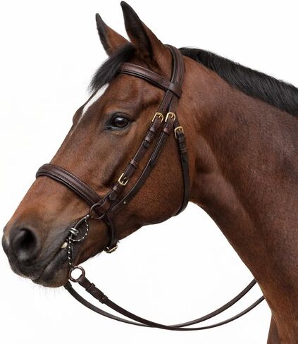 CHALLENGER Sweet Iron SS Twisted Wire 6" Mouth Horse Gag Snaffle Bit 35150 in Saudi Arabia