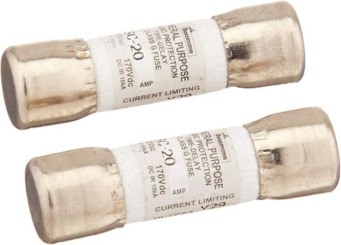 Bussmann BP/SC-20 20 Amp Time-Delay Class G Melamine Tube, 600V UL Listed Carded, 2-Pack in Saudi Arabia