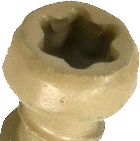 Tan Star-Drive Composite Deck Screw #10 x 2-1/2" in Saudi Arabia